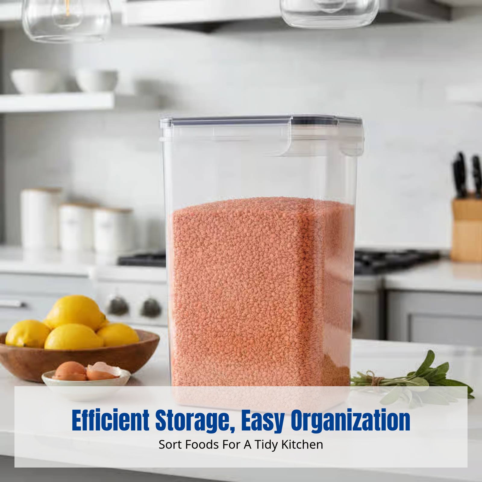 Airtight Food Storage Containe - Food Storage Airtight ulasan dan harga