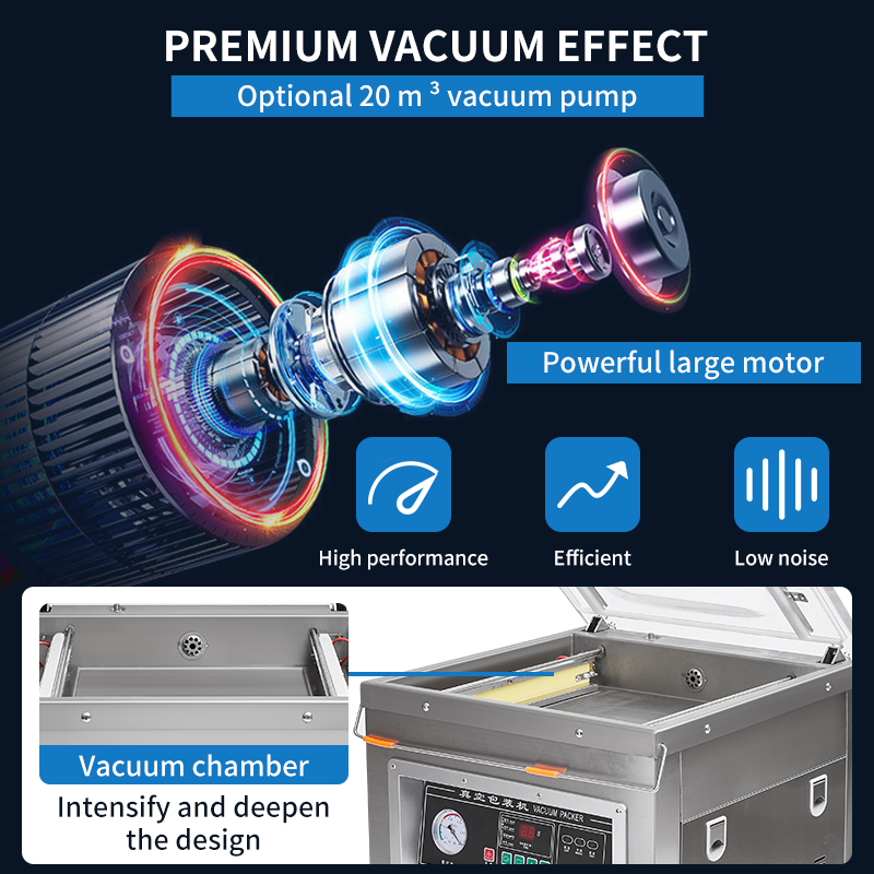 DZ-500 Professional Electric C - Food Storage Long Term ulasan dan harga