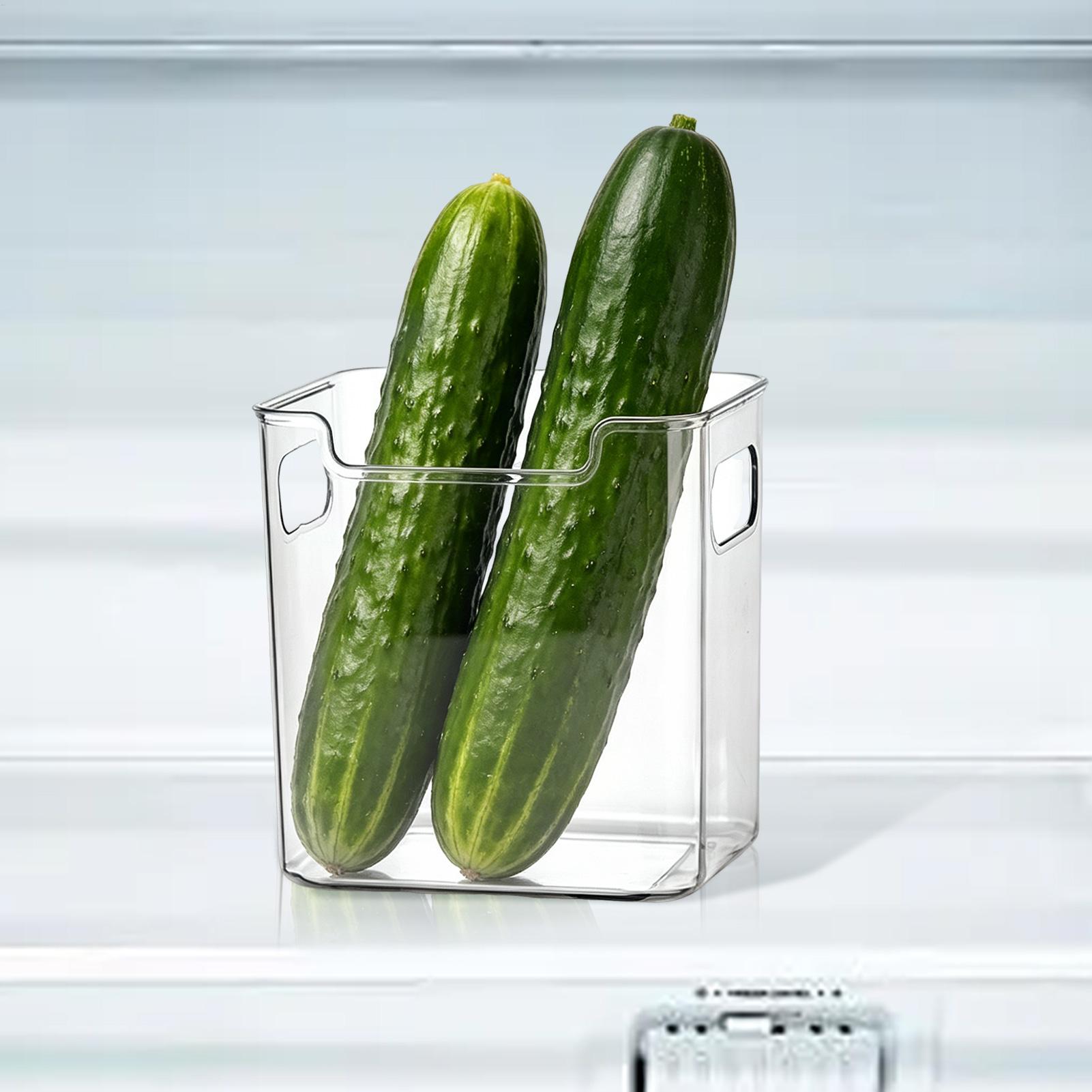 Refrigerator Bins with Handles - Food Storage In Pantry ulasan dan harga