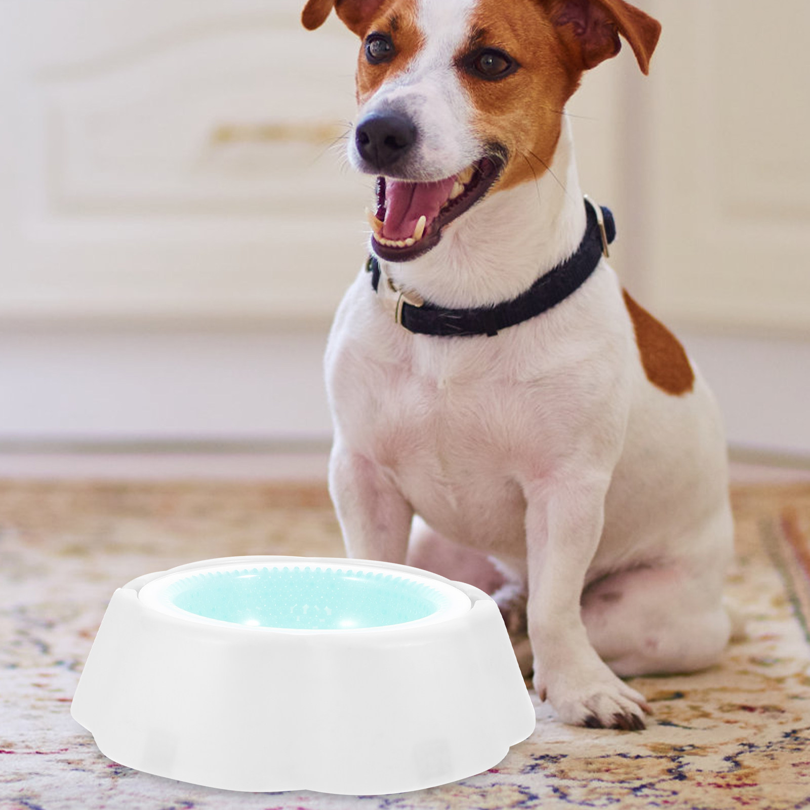 1Pcs Pet Cooler Bowl Premium P - Storage Tips For Food ulasan dan harga